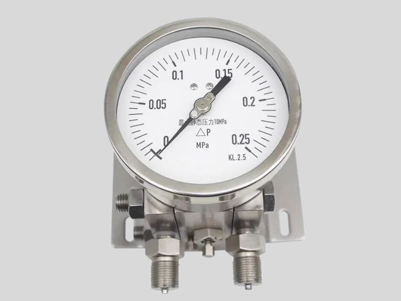 Φ100双膜片静压差压表2.5级