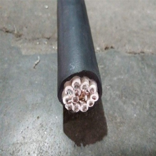 CEF/DA 24x1.5乙丙橡胶船用电缆